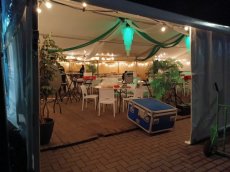 Kunstplanten diversen